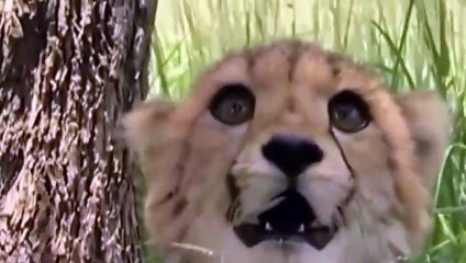 함안출장안마 -후불100%ョØ7ØM7575M0069｛카톡CC6969｝  함안전지역출장안마 함안오피걸 함안출장마사지 함안안마 함안출장마사지 함안콜걸샵㍓⻬◧