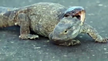 밀양출장안마 -후불100%ョØ1ØM7685M6221｛카톡MGM1472｝  밀양전지역출장안마 밀양오피걸 밀양출장마사지 밀양안마 밀양출장마사지 밀양콜걸샵≬≭≇