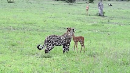 안동출장안마 -후불1ØØ%ョØ7ØE7575E0069｛카톡RD654｝ 안동전지역출장마사지 안동오피걸 안동출장안마 안동출장마사지 안동출장안마 안동출장콜걸샵안마 안동출장아로마안동출장샵㌲∪≍