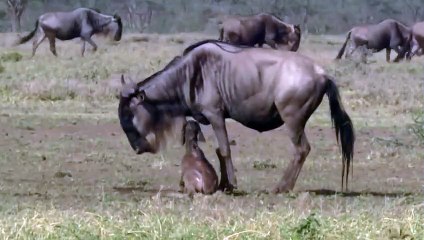 산삼동출장안마 -후불100%ョO7OV7301V9649｛카톡LA25｝  산삼동전지역출장안마 산삼동오피걸 산삼동출장마사지 산삼동안마 산삼동출장마사지 산삼동콜걸샵㌛⾩や