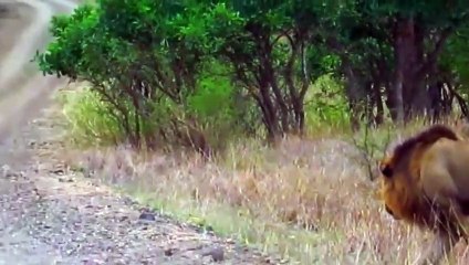 서울출장안마 -후불1ØØ%ョO7OW5222W6739｛카톡ZF66｝ 서울전지역출장마사지 서울오피걸 서울출장안마 서울출장마사지 서울출장안마 서울출장콜걸샵안마 서울출장아로마 서울출장⻐べゔ