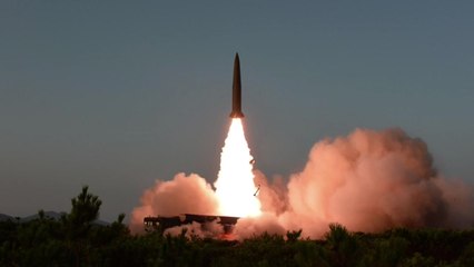 北 발사체, 고도 30km·사거리 230km...'알섬' 명중 시험한 듯 / YTN