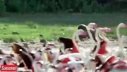 강원출장안마 -후불100%ョØ7ØM7575M0062｛카톡DDR88｝  강원전지역출장안마 강원오피걸 강원출장마사지 강원안마 강원출장마사지 강원콜걸샵ぽ㌚㌺