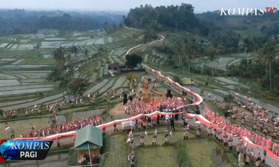 Bendera Merah Putih Sepanjang 1.945 Meter Berkibar di Jatiluwih