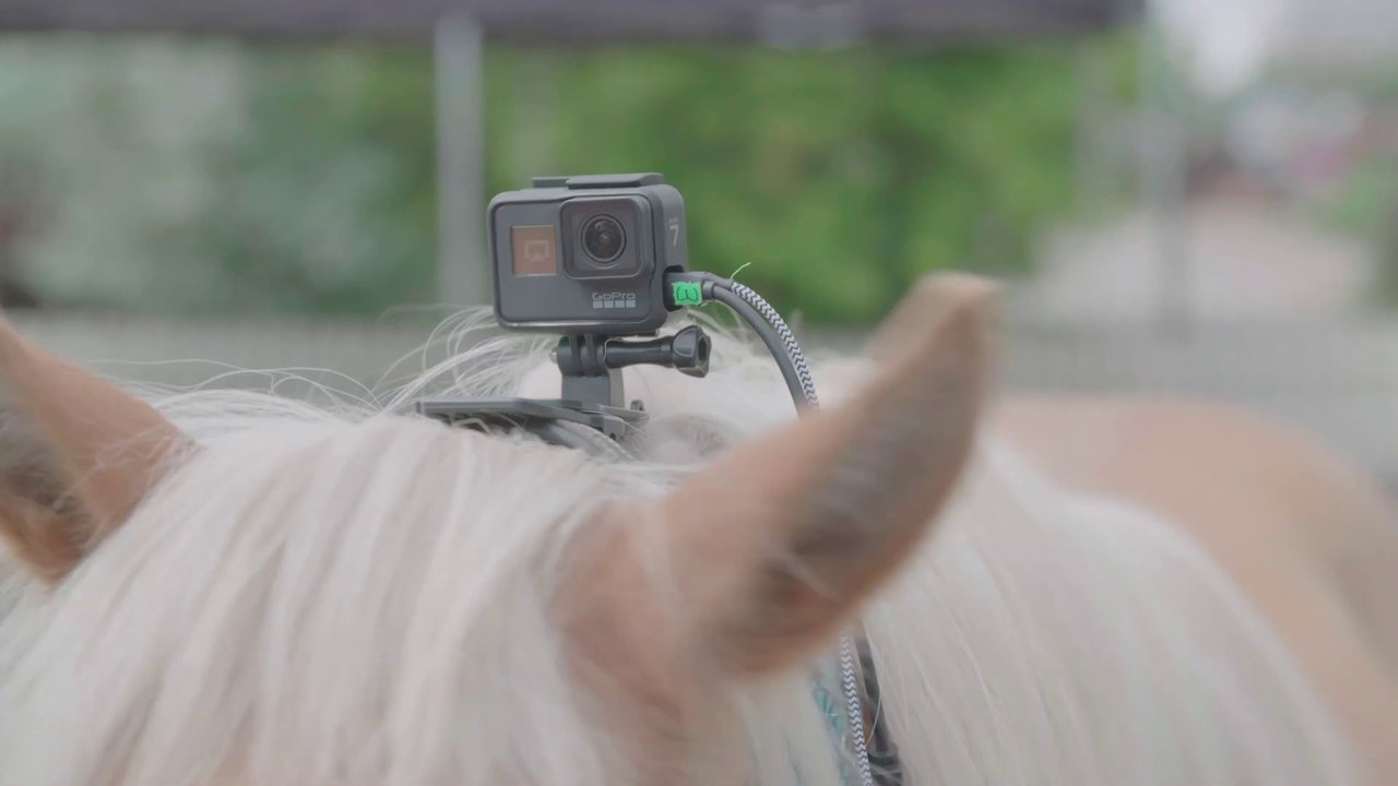 How Horses Can Inform Autonomous Driving: An Interview With Daimler's Futurists
