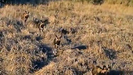 구로출장안마 -후불1ØØ%ョØ7ØE7575E0054｛카톡USA16｝ 구로전지역출장마사지 구로오피걸 구로출장안마 구로출장마사지 구로출장안마 구로출장콜걸샵안마 구로출장아로마 구로출장⻕≌㌺