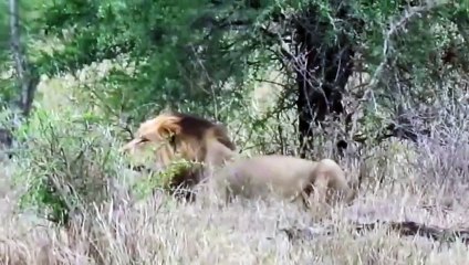 노원출장안마 -후불100%ョØ7ØE7575E0062｛카톡DK654｝  노원전지역출장안마 노원오피걸 노원출장마사지 노원안마 노원출장마사지 노원콜걸샵◝⻔⻋