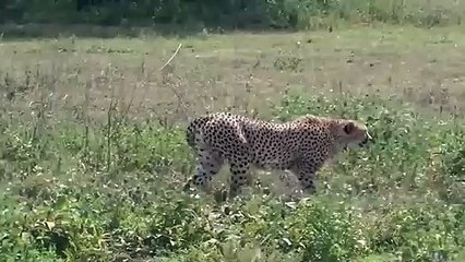 용산역출장안마 -후불100%ョOiOV2671V8135｛카톡ZHF526｝  용산역전지역출장안마 용산역오피걸 용산역출장마사지 용산역안마 용산역출장마사지 용산역콜걸샵⻗≗㌾