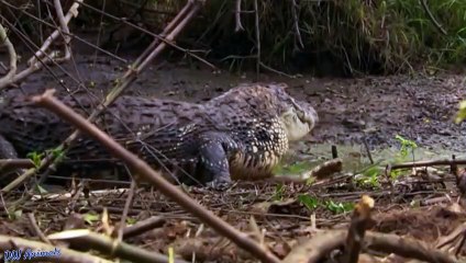 수성지구출장안마 -후불1ØØ%ョOiOE7685E6221｛카톡USA51｝ 수성지구전지역출장마사지 수성지구오피걸 수성지구출장안마 수성지구출장마사지 수성지구출장안마 수성지구출장콜걸샵안마 수성지구출장아로마수성지구출장샵∻⾬き