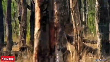 금정출장안마 -후불1ØØ%ョO7OV7333V9649｛카톡LA666｝ 금정전지역출장마사지 금정오피걸 금정출장안마 금정출장마사지 금정출장안마 금정출장콜걸샵안마 금정출장아로마 금정출장⻢∴◤