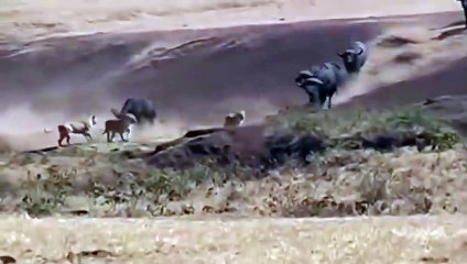 야탑출장안마 -후불1ØØ%ョOiOE2997E5327｛카톡WD777｝ 야탑전지역출장마사지 야탑오피걸 야탑출장안마 야탑출장마사지 야탑출장안마 야탑출장콜걸샵안마 야탑출장아로마 야탑출장ま⾷㌸