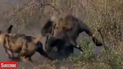 진해출장안마 -후불1ØØ%ョØ7ØE7575E0054｛카톡GD825｝ 진해전지역출장마사지 진해오피걸 진해출장안마 진해출장마사지 진해출장안마 진해출장콜걸샵안마 진해출장아로마 진해출장で∡≊