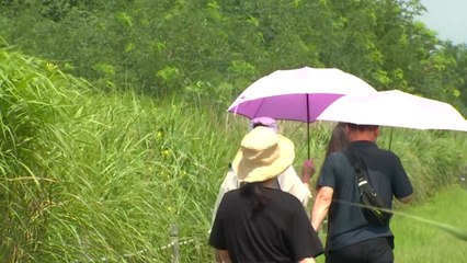 [날씨] 열대야 사라지고 찜통더위 꺾여...주말 서울 30℃ / YTN
