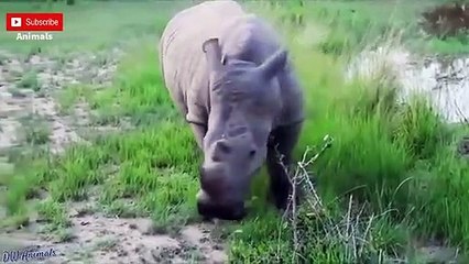 남동출장안마 -후불100%ョØ7ØE7575E0062｛카톡DK654｝  남동전지역출장안마 남동오피걸 남동출장마사지 남동안마 남동출장마사지 남동콜걸샵∌㌡ぉ