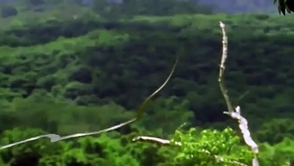 용산역출장안마 -후불100%ョØ7ØE7575E0069｛카톡RD654｝  용산역전지역출장안마 용산역오피걸 용산역출장마사지 용산역안마 용산역출장마사지 용산역콜걸샵ま≇≩