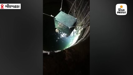 ગીરગઢડાના બોડીદરમાં ઊંડા કૂવામાં દીપડો ખાબક્યો