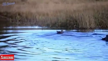 함안출장안마 -후불1ØØ%ョØ7ØE7575E0062｛카톡DK654｝ 함안전지역출장마사지 함안오피걸 함안출장안마 함안출장마사지 함안출장안마 함안출장콜걸샵안마 함안출장아로마함안출장샵≁▽∫