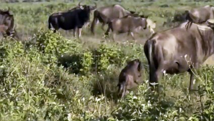 동해출장안마 -후불100%ョØ7ØE7575E0054｛카톡GD825｝  동해전지역출장안마 동해오피걸 동해출장마사지 동해안마 동해출장마사지 동해콜걸샵◁∗⊆