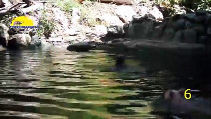 영양출장안마 -후불1ØØ%ョØ1ØM2997M5327｛카톡USA59｝ 영양전지역출장마사지 영양오피걸 영양출장안마 영양출장마사지 영양출장안마 영양출장콜걸샵안마 영양출장아로마영양출장샵㌹≳∞