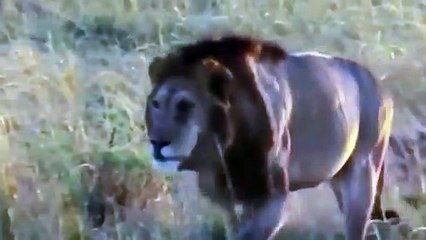 통영출장안마 -후불1ØØ%ョØ7ØM7575M0054｛카톡OYO78｝ 통영전지역출장마사지 통영오피걸 통영출장안마 통영출장마사지 통영출장안마 통영출장콜걸샵안마 통영출장아로마통영출장샵ひ∺ぎ