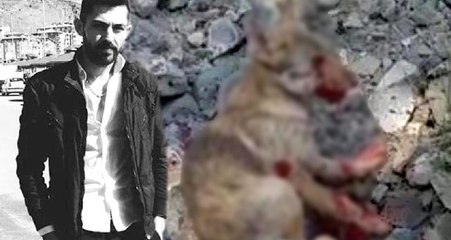 Kurt yavrusuna yaptığı işkenceyi paylaştı, 4 bin 827 TL ceza yedi