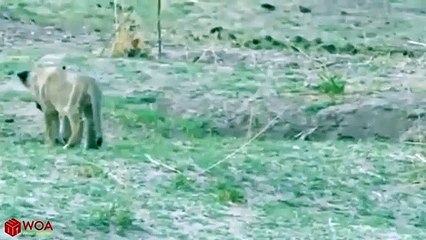 회현동출장안마 -후불100%ョO7OV7333V9649｛카톡LA666｝  회현동전지역출장안마 회현동오피걸 회현동출장마사지 회현동안마 회현동출장마사지 회현동콜걸샵≤⾮◈