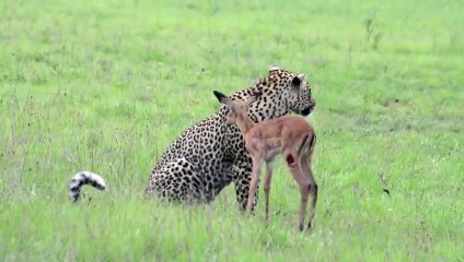 무안출장안마 -후불1ØØ%ョOiOE7685E6221｛카톡PP888｝ 무안전지역출장마사지 무안오피걸 무안출장안마 무안출장마사지 무안출장안마 무안출장콜걸샵안마 무안출장아로마무안출장샵∗㌽㌤