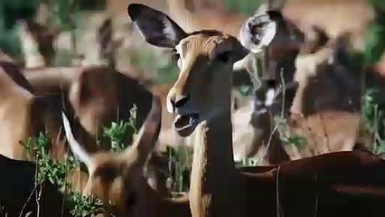 의정부출장안마 -후불100%ョOiOE7685E6221｛카톡USA51｝  의정부전지역출장안마 의정부오피걸 의정부출장마사지 의정부안마 의정부출장마사지 의정부콜걸샵∔≺⻑