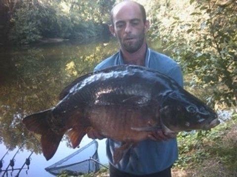 quelques belles carpes