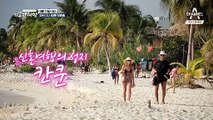 칸쿤 해변을 달리는 한 쌍의 치와와 & 김지민-크리스티안 부부(?)