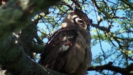 조치원출장안마 -후불100%ョOiOV2671V8135｛카톡ZHF526｝  조치원전지역출장안마 조치원오피걸 조치원출장마사지 조치원안마 조치원출장마사지 조치원콜걸샵⾮≓⊋