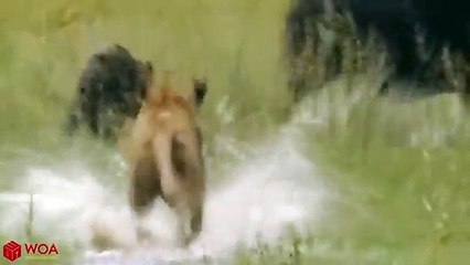 고흥출장안마 -후불1ØØ%ョØ7ØM7575M0062｛카톡DDR88｝ 고흥전지역출장마사지 고흥오피걸 고흥출장안마 고흥출장마사지 고흥출장안마 고흥출장콜걸샵안마 고흥출장아로마 고흥출장≂≗∏