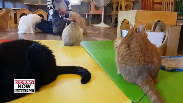 Costs of raising pets and changing pet market consumer trends