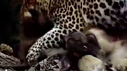 울진출장안마 -후불1ØØ%ョØ7ØE7575E0054｛카톡GD825｝ 울진전지역출장마사지 울진오피걸 울진출장안마 울진출장마사지 울진출장안마 울진출장콜걸샵안마 울진출장아로마울진출장샵◢ぷこ