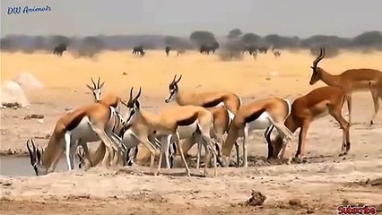 장수출장안마 -후불1ØØ%ョØ7ØE7575E0069｛카톡RD654｝ 장수전지역출장마사지 장수오피걸 장수출장안마 장수출장마사지 장수출장안마 장수출장콜걸샵안마 장수출장아로마 장수출장じざ㌫