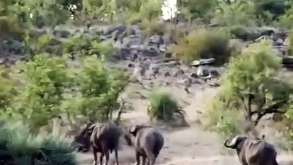 사하지구출장안마 -후불1ØØ%ョØ1ØM7685M6221｛카톡LTE16｝ 사하지구전지역출장마사지 사하지구오피걸 사하지구출장안마 사하지구출장마사지 사하지구출장안마 사하지구출장콜걸샵안마 사하지구출장아로마사하지구출장샵㌹∎≱