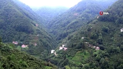 İnşaat işçiliğinden oyma ağaç ustalığına