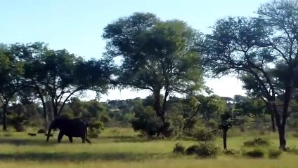 금산출장안마 -후불100%ョOiOE7685E6221｛카톡PP888｝  금산전지역출장안마 금산오피걸 금산출장마사지 금산안마 금산출장마사지 금산콜걸샵㌮≚げ