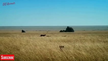 정왕동출장안마 -후불1ØØ%ョOiOV2671V8135｛카톡AQ52｝ 정왕동전지역출장마사지 정왕동오피걸 정왕동출장안마 정왕동출장마사지 정왕동출장안마 정왕동출장콜걸샵안마 정왕동출장아로마정왕동출장샵◕≺⊇