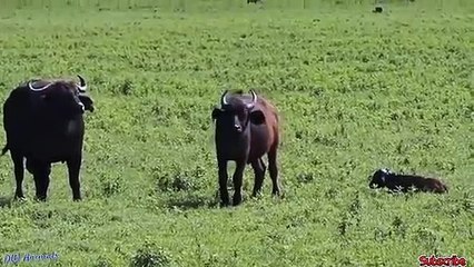 일산출장안마 -후불1ØØ%ョO7OW5222W7802｛카톡LGT010｝ 일산전지역출장마사지 일산오피걸 일산출장안마 일산출장마사지 일산출장안마 일산출장콜걸샵안마 일산출장아로마 일산출장ょ∌∐