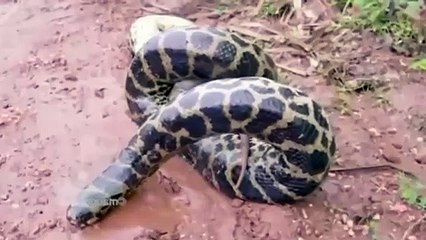 수지출장안마 -후불100%ョØ1ØM2997M5327｛카톡KC789｝ 수지전지역출장안마 수지오피걸 수지출장마사지 수지출장안마 수지출장마사지 수지출장콜걸샵안마 수지출장아로마㌮∢∯