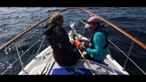 Scotland’s basking sharks’ secret underwater lives captured by robot