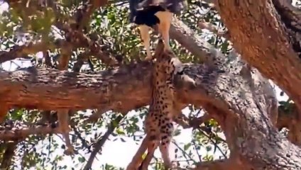 동대문출장안마 -후불100%ョØ1ØM2997M5327｛카톡USA59｝  동대문전지역출장안마 동대문오피걸 동대문출장마사지 동대문출장안마 동대문출장마사지 동대문콜걸샵ぶ◯ざ