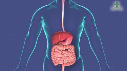 7 Things You Should Do Not Do After Eating