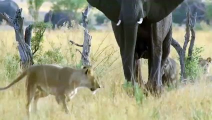 강동출장안마 -후불100%ョØ7ØM7575M0062｛카톡DDR88｝ 강동전지역출장안마 강동오피걸 강동출장마사지 강동출장안마 강동출장마사지 강동출장콜걸샵안마 강동출장아로마㌚◧≉