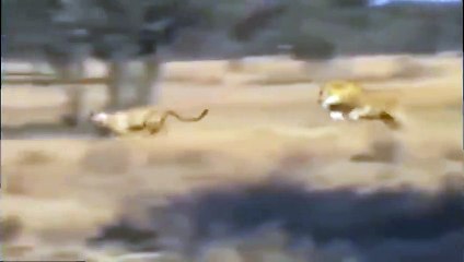 대전출장안마 -후불100%ョO7OW7301W9649｛카톡LA25｝  대전전지역출장안마 대전오피걸 대전출장마사지 대전출장안마 대전출장마사지 대전콜걸샵⻩い▽대전출장샵
