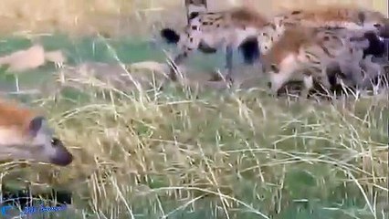 수영출장안마 -후불100%ョO7OV5222V7802｛카톡VV23}  수영전지역출장안마 수영오피걸 수영출장마사지 수영출장안마 수영출장마사지 수영콜걸샵⊈ゝ⾭수영출장샵