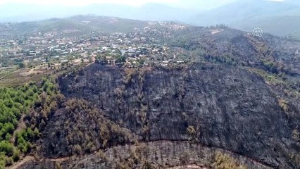 Muğla'da yanan ormanlık alan havadan görüntülendi