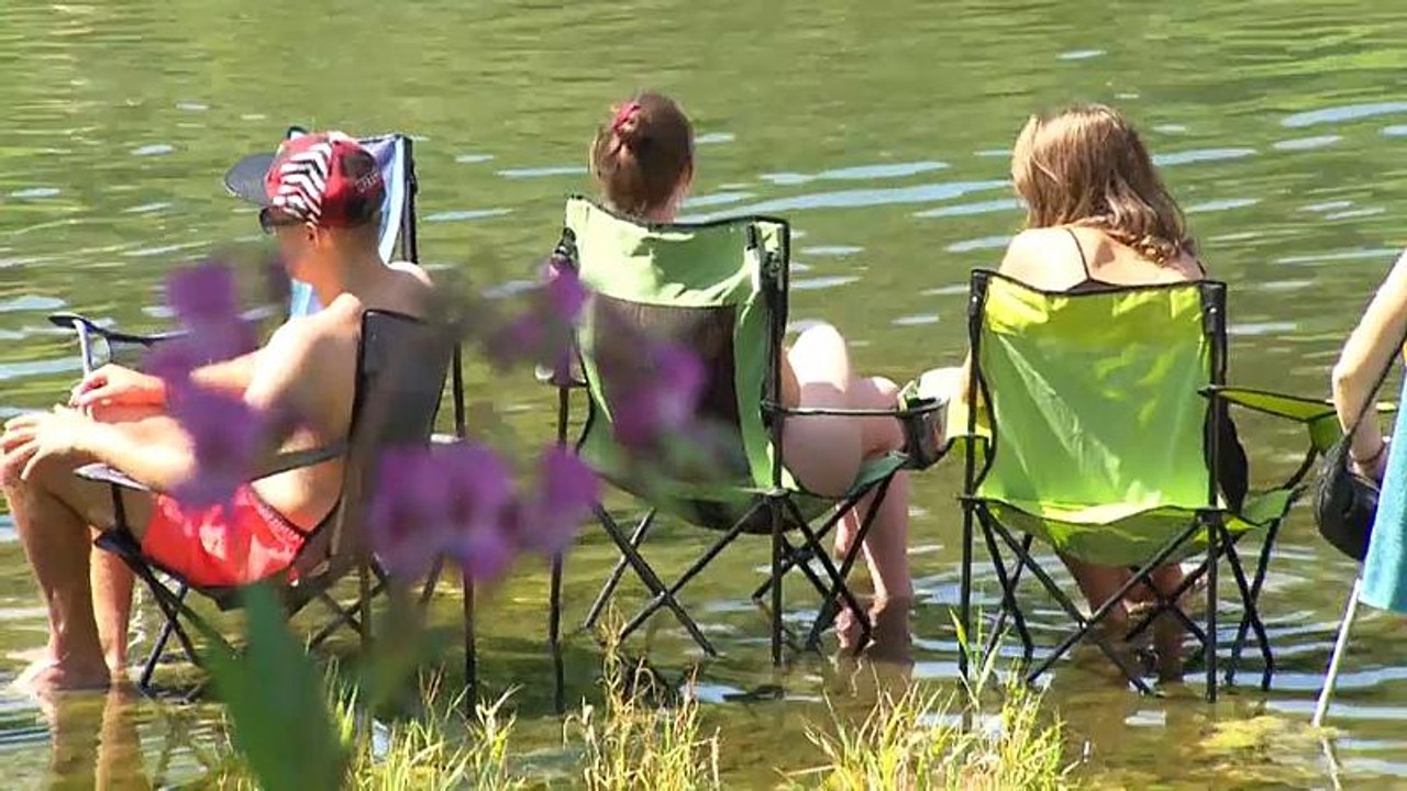 FM4-Frequency-Festival: Pro Zelt gibt's einen Baum