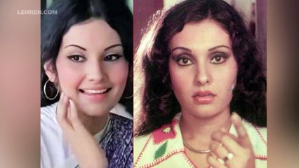When Vidya Sinha Accused Husband Of Tormenting Her